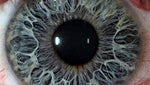 Galaxy Note 7 iris scanner sounding like a real possibility, as screenshot leaks