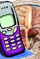 Maine lawmaker seeking Brain Cancer warning label on cellphones