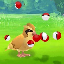 Wasted 10 Poke Balls on a Pidgey? Not alone, as Pokemon Go update bugs out
