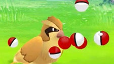 Wasted 10 balls on a Pidgey?! Niantic promises Pokemon Go update bug fix