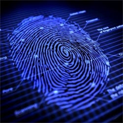 Fingerprint scanners to become even more ubiquitous on smartphones in 2017