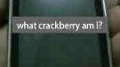 The mysterious BlackBerry that never saw light?