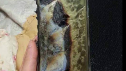 Samsung now confirms that shipments of the Galaxy Note 7 are halted for additional tests