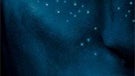 Avatar for the iPhone Review