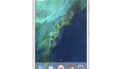 Delivery error has the the Google Pixel shipping early to some lucky customers