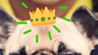 WhatsApp for iOS gets an update - you can now draw on photos and videos