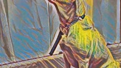 All aboard the painting app train: Google is making its own Prisma competitor, samples inside!