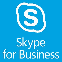 skype for business features