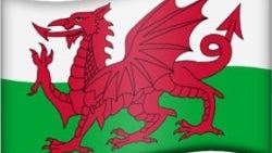 Regional flags Emoji might soon be a thing