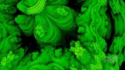 5 apps that generate bizarre and colorful wallpapers by using fractals