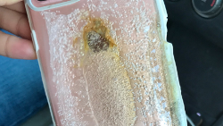 Apple iPhone 7 Plus passes Sprint disgnostic test, and then explodes the next morning