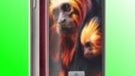 T-Mobile myTouch 3G gets a very minor update