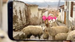 New Samsung commercials present the Galaxy S8 as a perfect travel guide, excellent VR gaming device