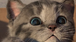 Get a digital pet to keep as Little Kitten is the free iOS app of the week