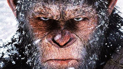 T-Mobile subscribers get to go ape with the next T-Mobile Tuesday