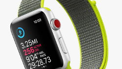Apple Watch Series 3 with cellular grabs 80% of model's pre-orders, topping 30% forecast
