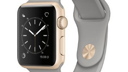 Apple sold $4.9 billion worth of the Apple Watch last year?