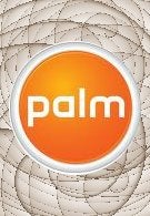 Palm updates its guidance for its fiscal year 2010