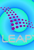 Leap Wireless posts a wider-than-expected quarterly loss
