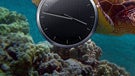 Several interesting applications for Android