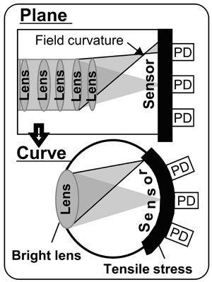 Sony&#039;s new curved CMOS sensor could improve camera light sensitivity up to 2 times - Sony breaks new ground with camera sensors curved like the human eye