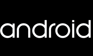 Here is the beautiful new boot animation in Android L