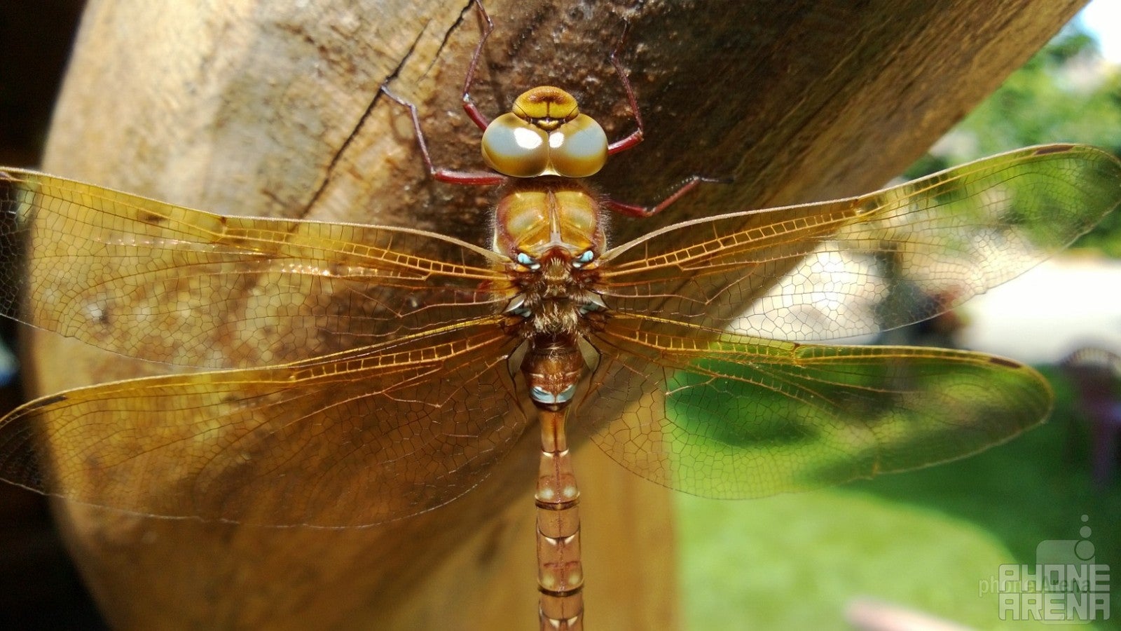 Last time's winner - KristisAbr - Nokia Lumia 920 - 10 great images captured with smartphones #90