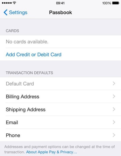 Leaked Apple Pay settings hint at iPads having Touch ID