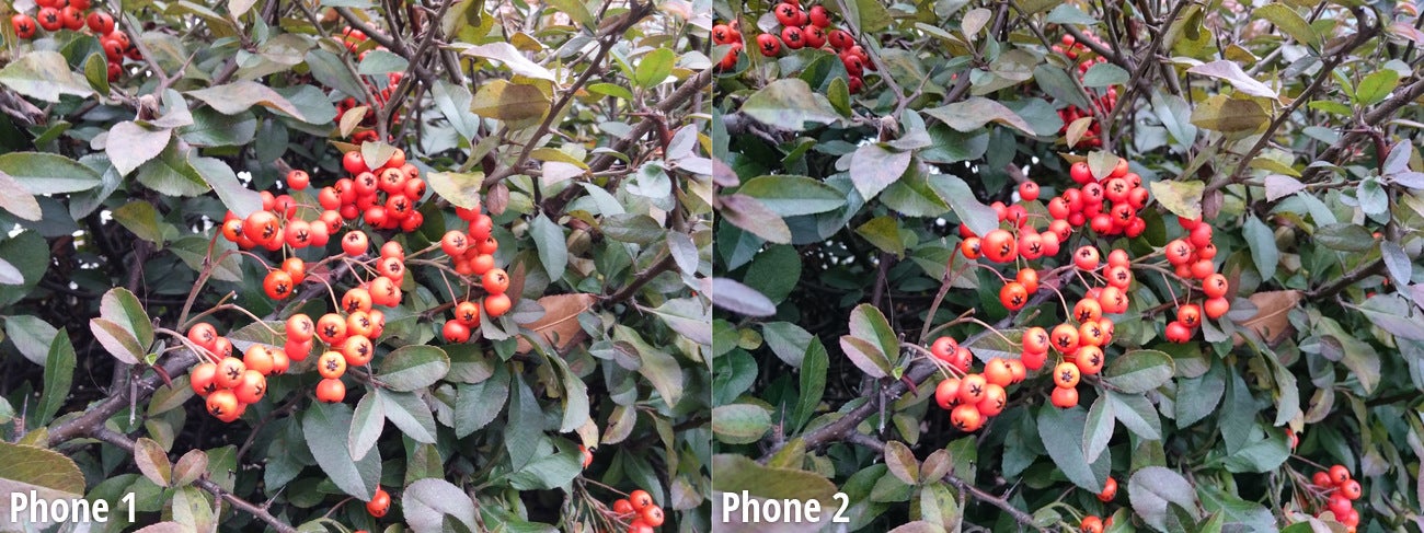 Side-by-side view - 1v1 blind camera comparison: you choose the better phone - LG vs Sony