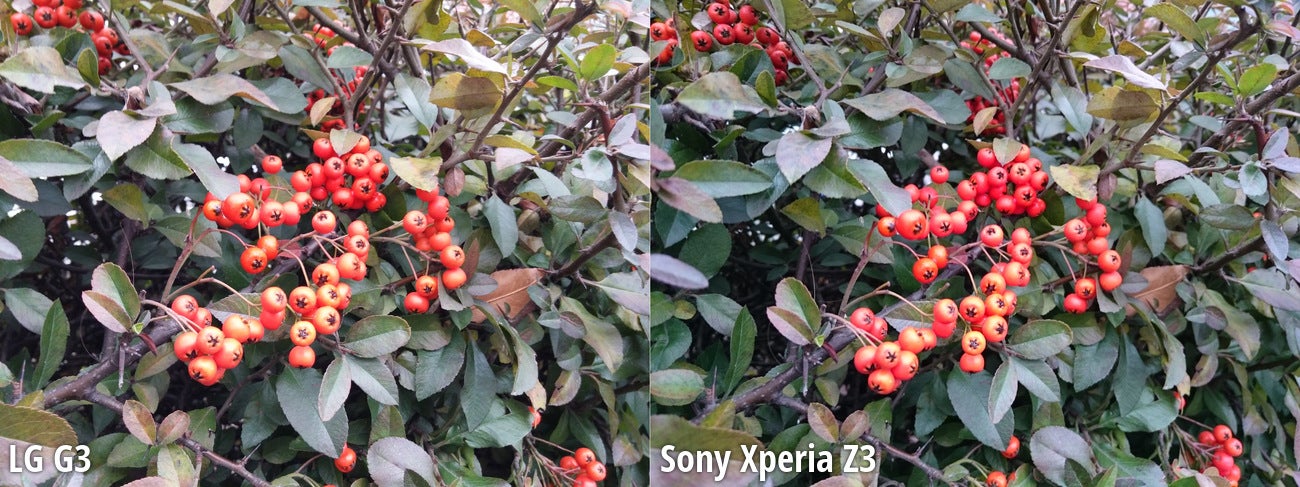 Side-by-side view - LG G3 vs Sony Xperia Z3 blind camera comparison: the results