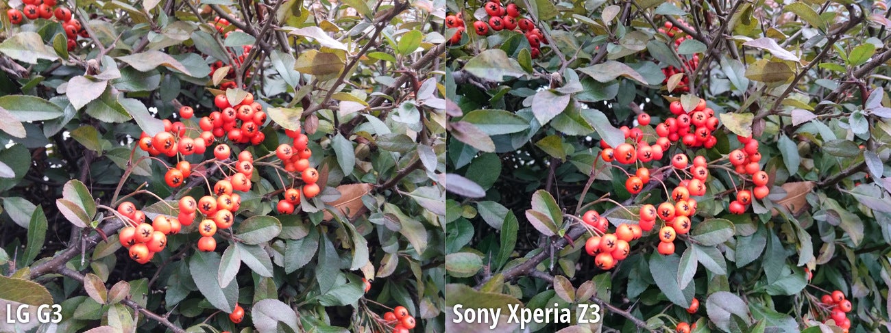 Side-by-side view - LG G3 vs Sony Xperia Z3 blind camera comparison: the results