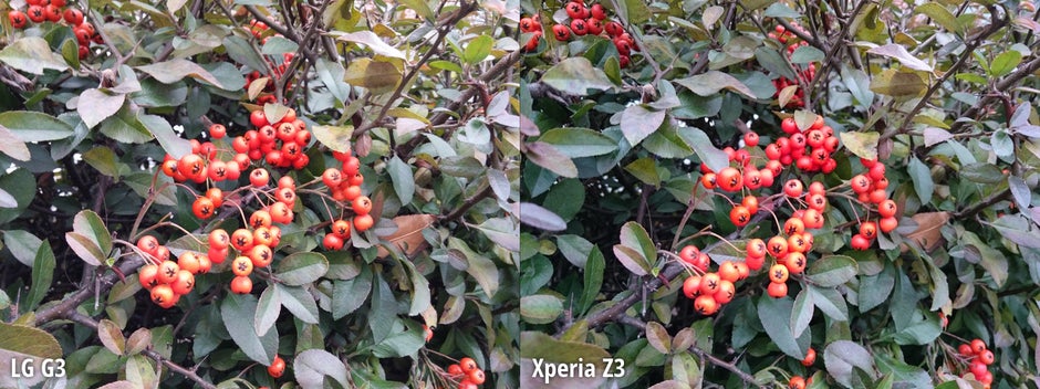 Side-by-side preview - LG G3 vs Sony Xperia Z3 camera comparison: here's how LG's flagship outpaces the Z3
