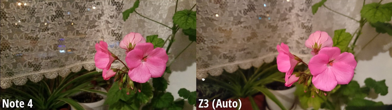 Side-by-side view - Samsung Galaxy Note 4 scores a flawless victory against the Xperia Z3 in our blind camera comparison