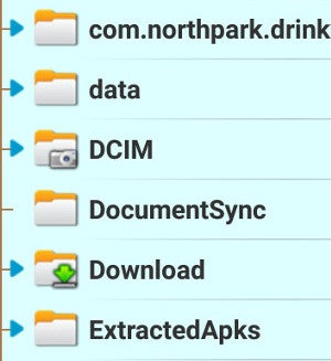 How to find downloaded files on Android