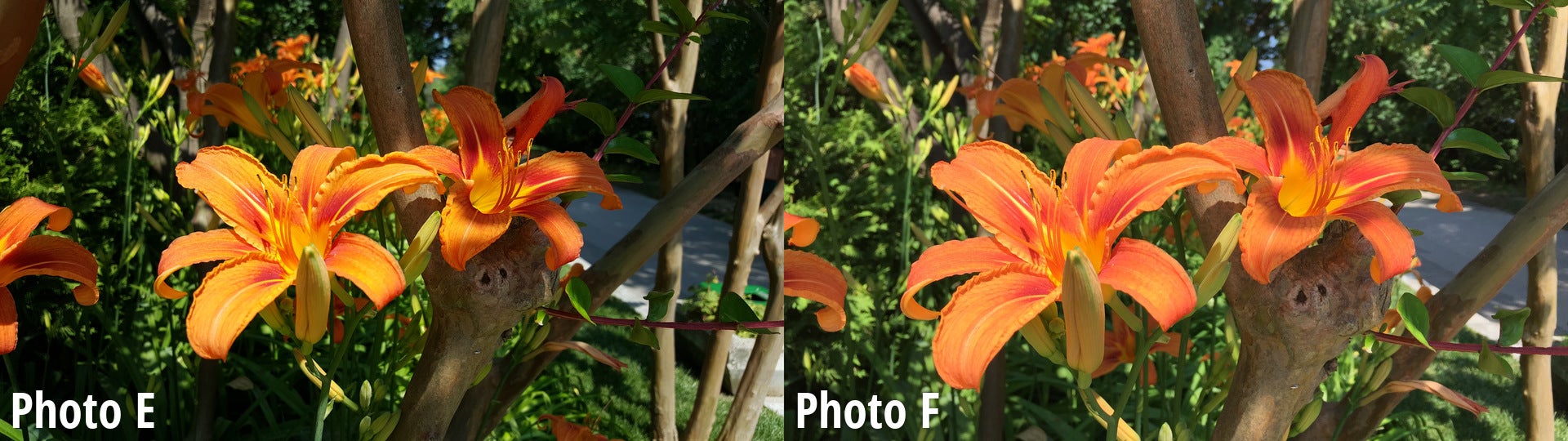 Side-by-side comparison - Samsung Galaxy S6 vs iPhone 6 blind camera comparison: vote for the better phone