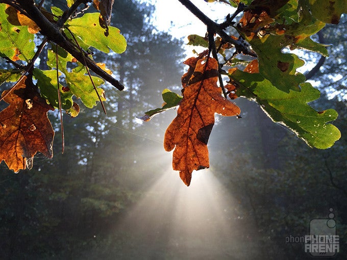 Last time's winner - Frank Rooimans - Apple iPhone 6The sun let the fall shine - 10 great images captured with smartphones #108