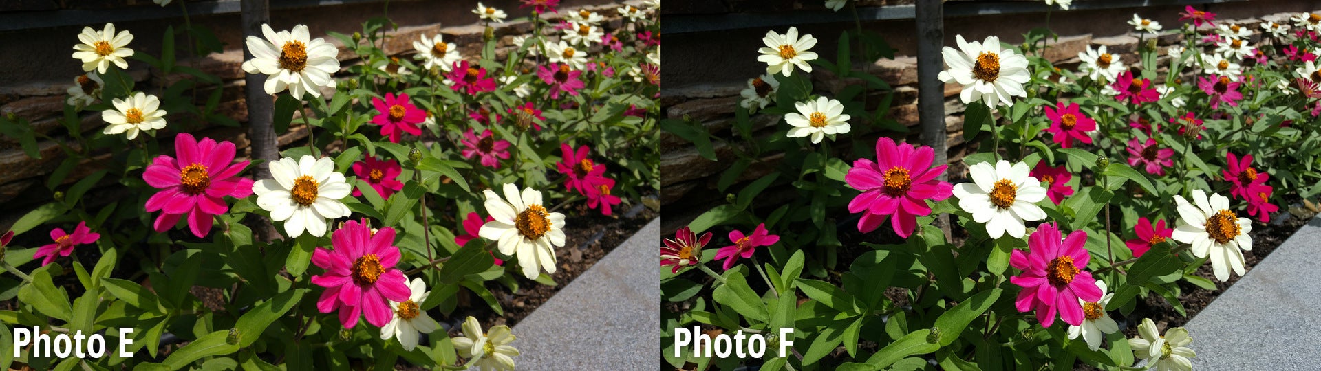 Side-by-side preview - LG G4 vs Samsung Galaxy S6 blind camera comparison: vote for the better phone