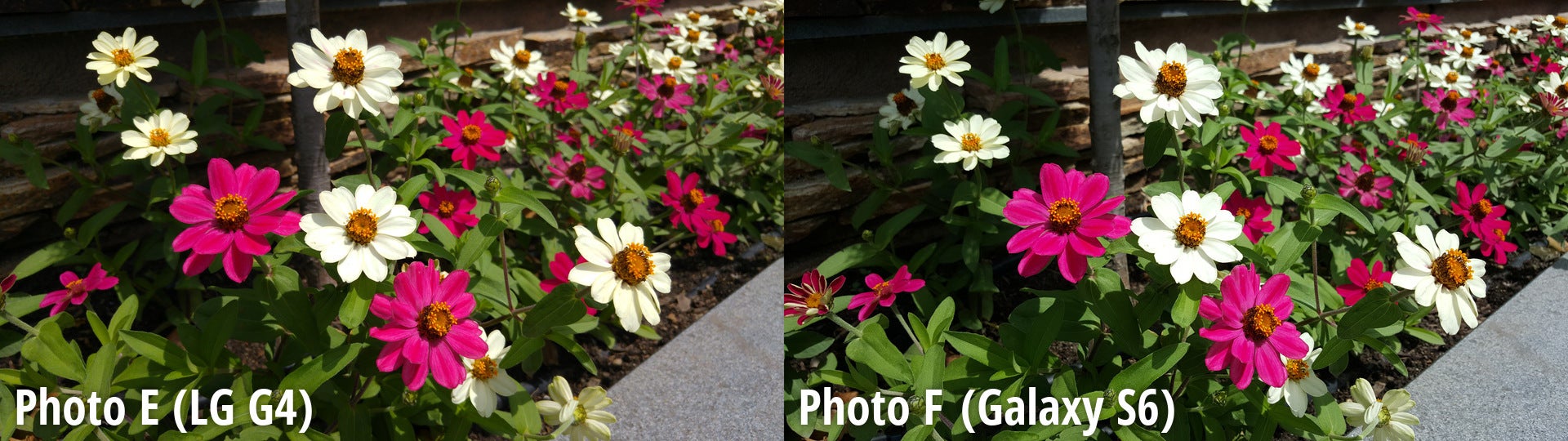 Side-by-side preview - Samsung Galaxy S6 wins another blind camera comparison, LG G4 is close second