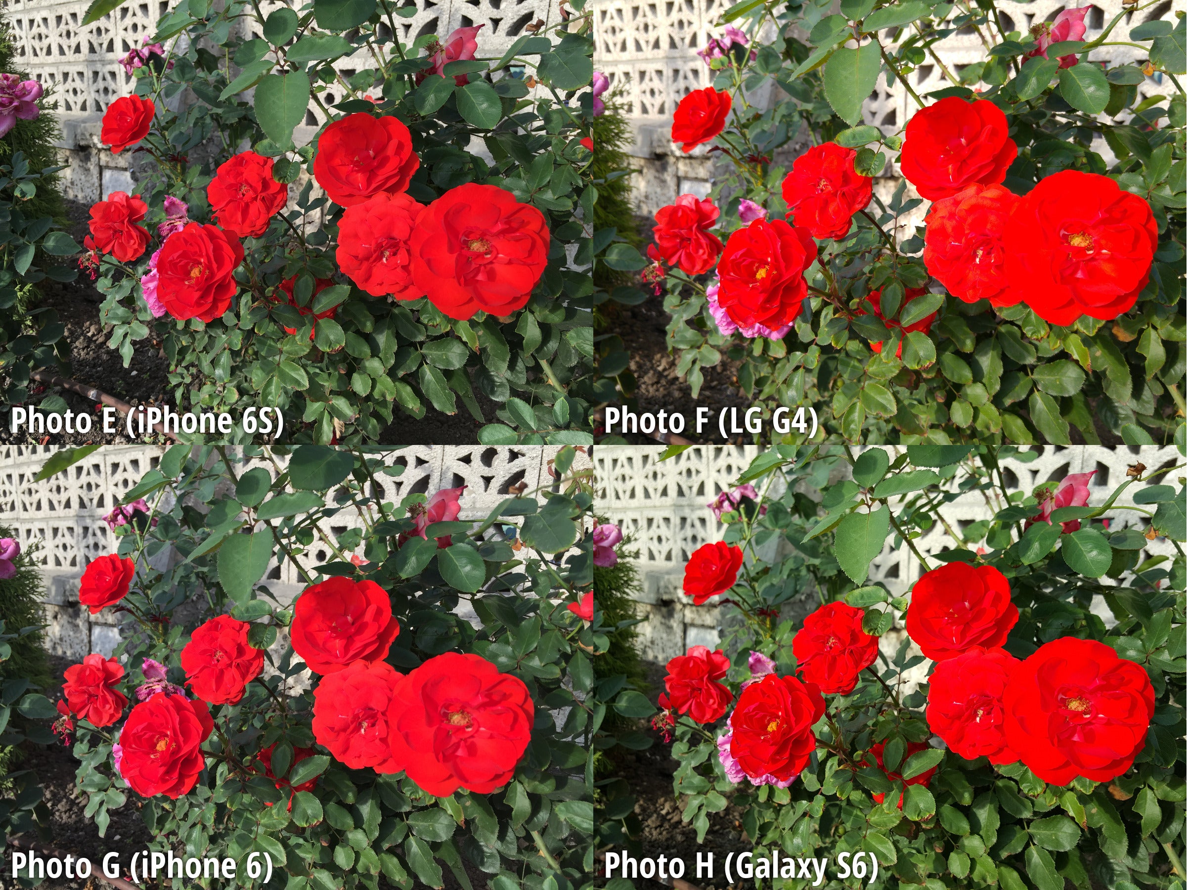 Side-by-side preview. Click to zoom in - Samsung Galaxy S6 and iPhone 6s dominate our blind camera comparison, LG G4 and iPhone 6 – not as much