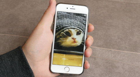 iPhone 6s: how to make your own custom Live Photo wallpaper from a video or GIF animation