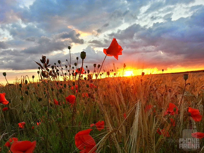 Last time's winner - Danny Coultrup - Samsung Galaxy Note 3 - 10 great images captured with smartphones #114