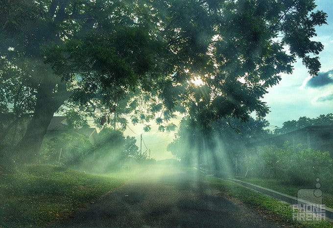 Last time's winner - Afzal Zainal - Apple iPhone 6 - 10 great images captured with smartphones #118