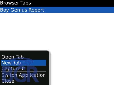 Tabbed Browsing a feature of BlackBerry OS 5.0?