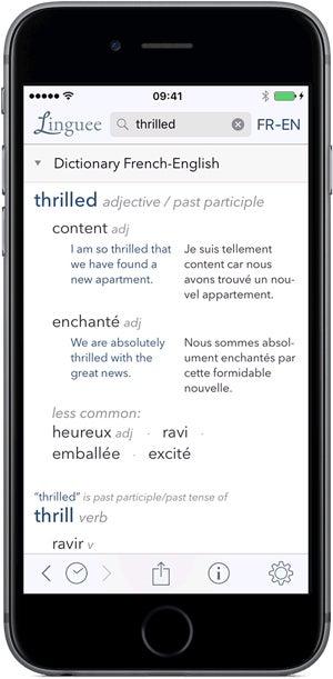 Dictionary Linguee for iPhone - Free App Download