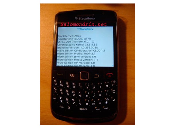 BlackBerry Atlas sits in front of the camera