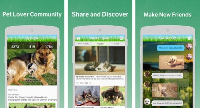 Pets Amino is an awesome society of pet owners sharing photos and advice of their favorite animals