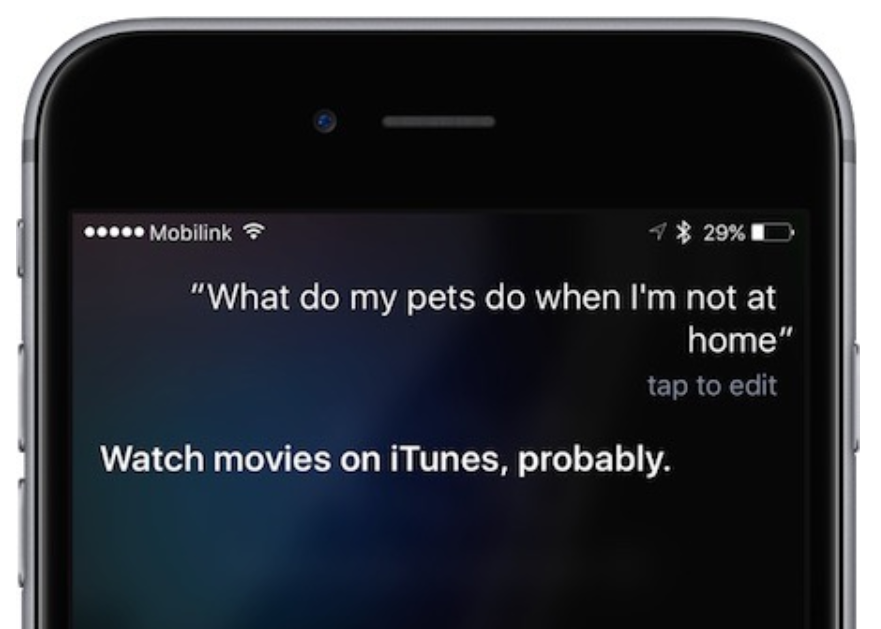 Siri will now answer questions related to The Secret Life of Pets movie - Siri gets a crash course in Universal's 'The Secret Lives of Pets' movie
