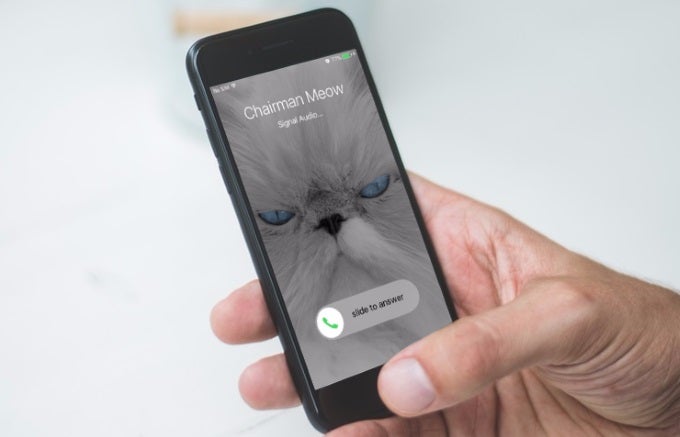 Encrypted messaging app Signal gets support for video calls