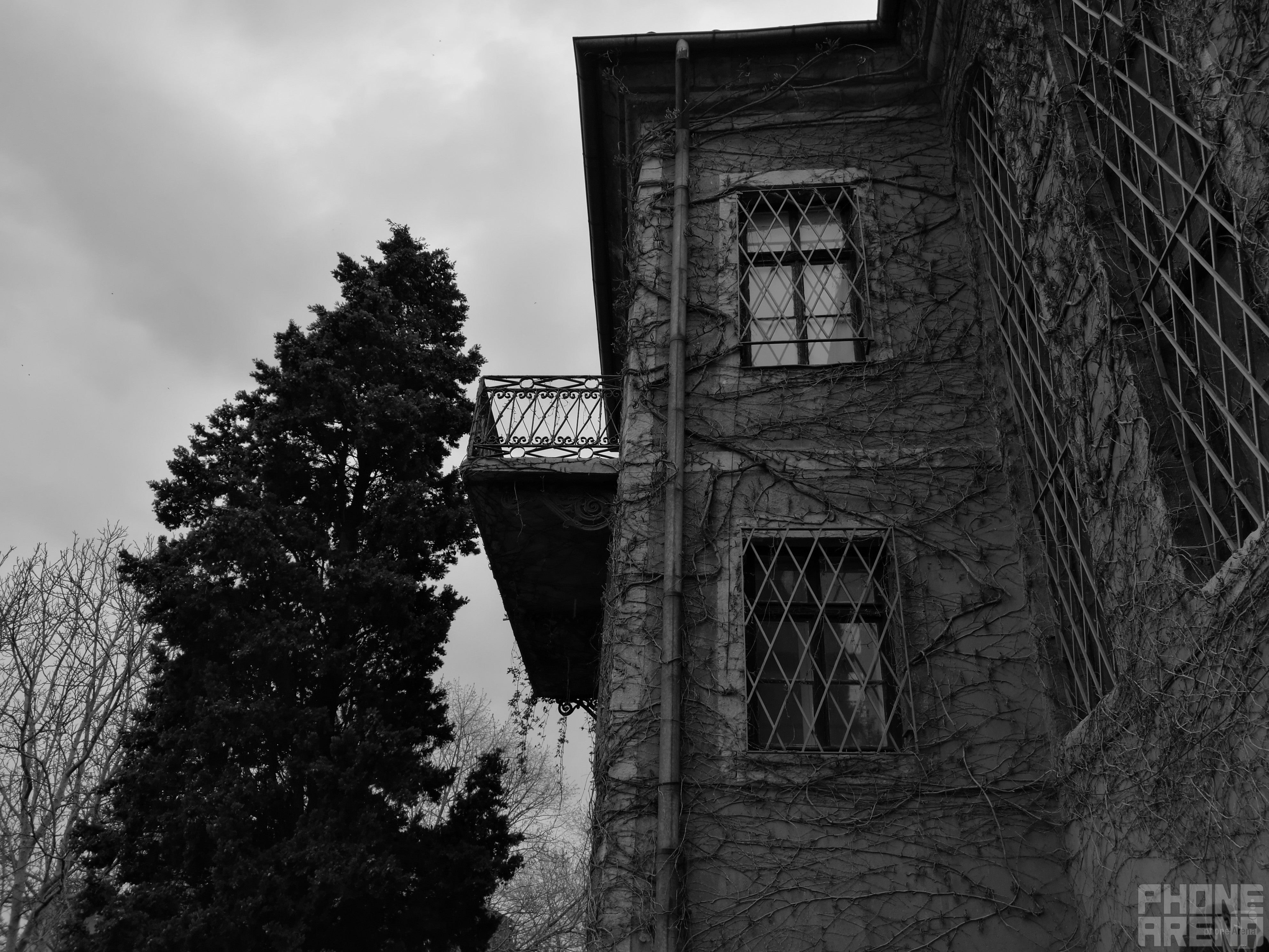 A photo taken with Huawei P9&#039;s monochrome mode - Dual cameras explained: how do they work and what are the differences?