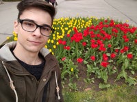 Tulips-Pixel